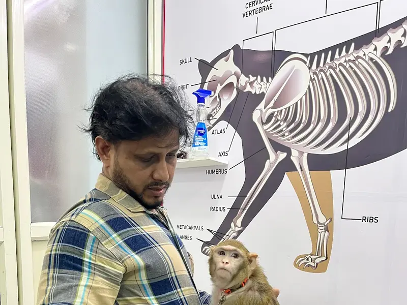 The Paws Avenue - Best Pet Clinic in Kolkata, photo 5