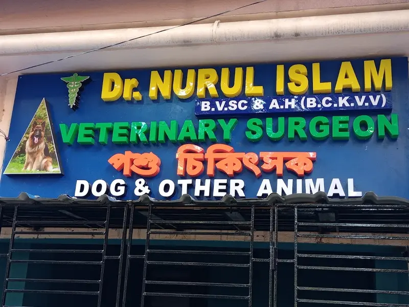 Dr. Nurul Islam, photo 5