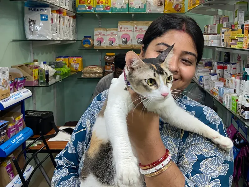 Pet's Kingdom ||Pet shop in Baguiati||food,medicine,accessories||Veterinary Doctors also available||, photo 2