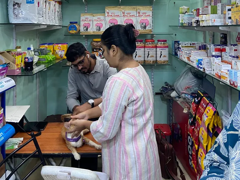 Pet's Kingdom ||Pet shop in Baguiati||food,medicine,accessories||Veterinary Doctors also available||, photo 3
