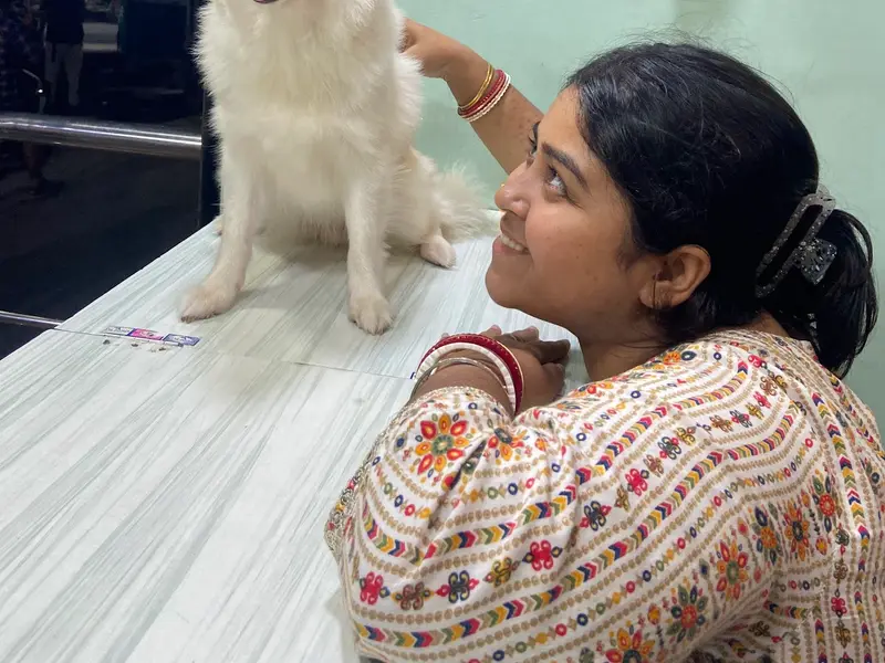 Pet's Kingdom ||Pet shop in Baguiati||food,medicine,accessories||Veterinary Doctors also available||, photo 4