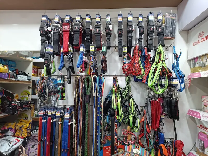 PGPET TRADING CO. | Pet Shop in Baguiati | Best Pet Shop in Baguiati, photo 3