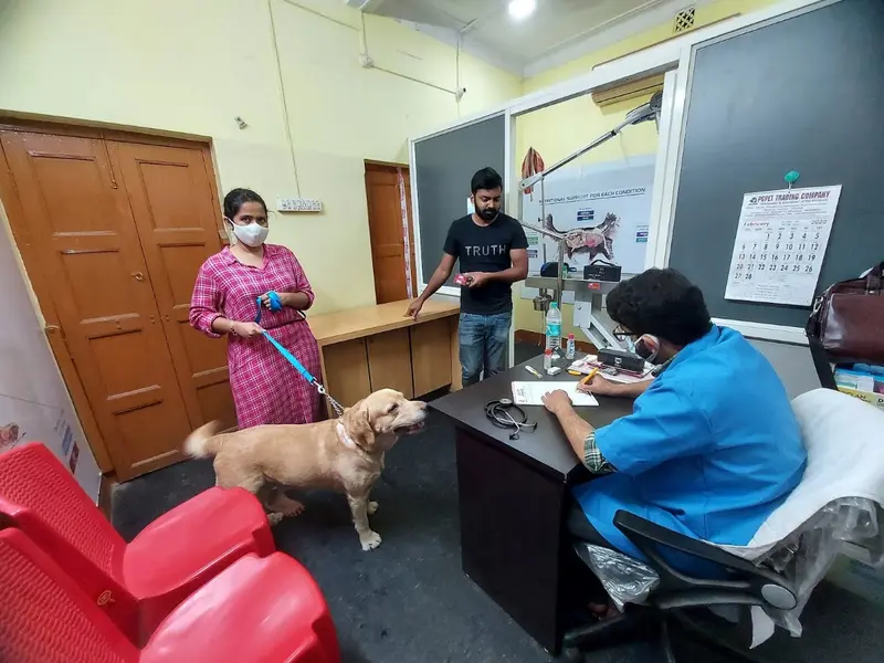 PGPET TRADING CO. | Pet Shop in Baguiati | Best Pet Shop in Baguiati, photo 4