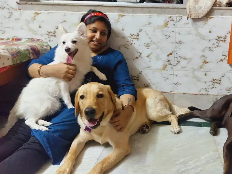 Vicky Dona Dog Creche & Pet Shop, photo 3