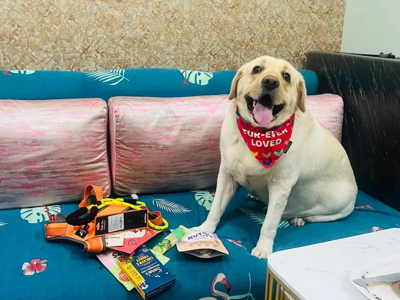 Heads Up For Tails Pet Store -Tripura Enclave, Kolkata, photo 3