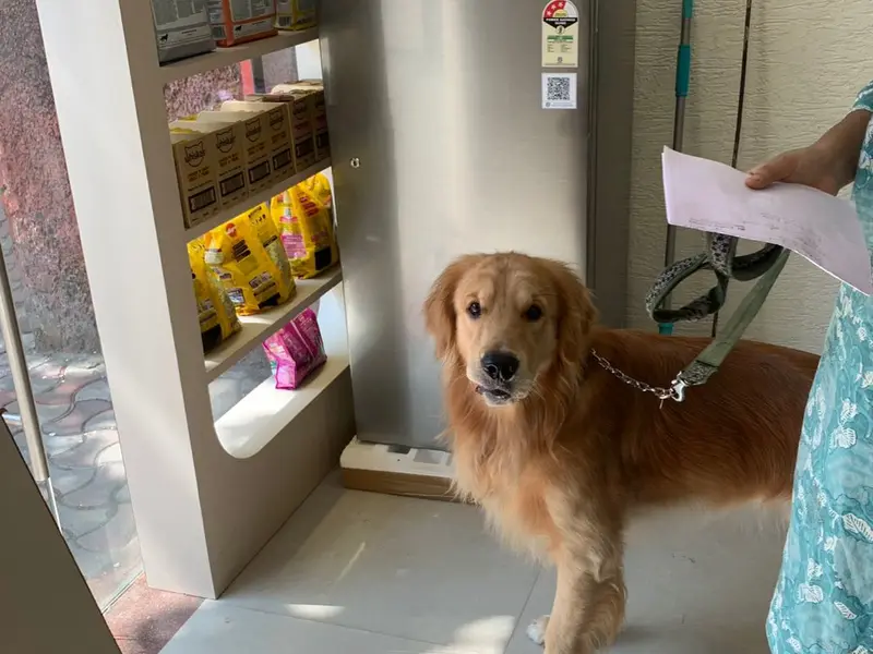 The Vet Pharma - Veterinary pharmacy & Pet store, photo 2