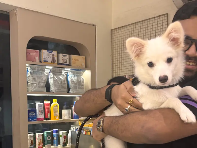 The Vet Pharma - Veterinary pharmacy & Pet store, photo 3