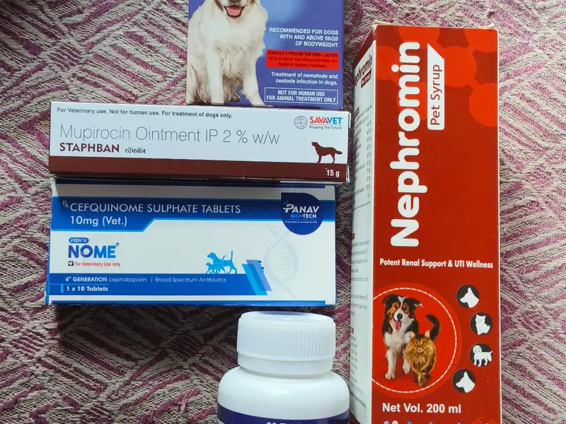 Mahamaya Pharmaceutical Agency, photo 3