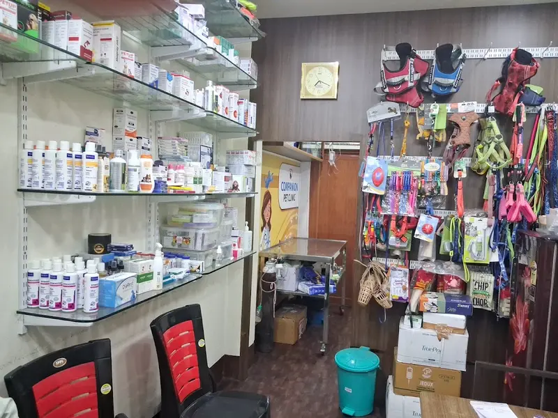 Companion Pet Clinic, photo 3