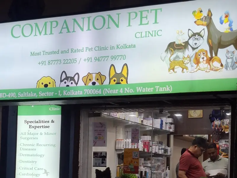 Companion Pet Clinic, photo 4