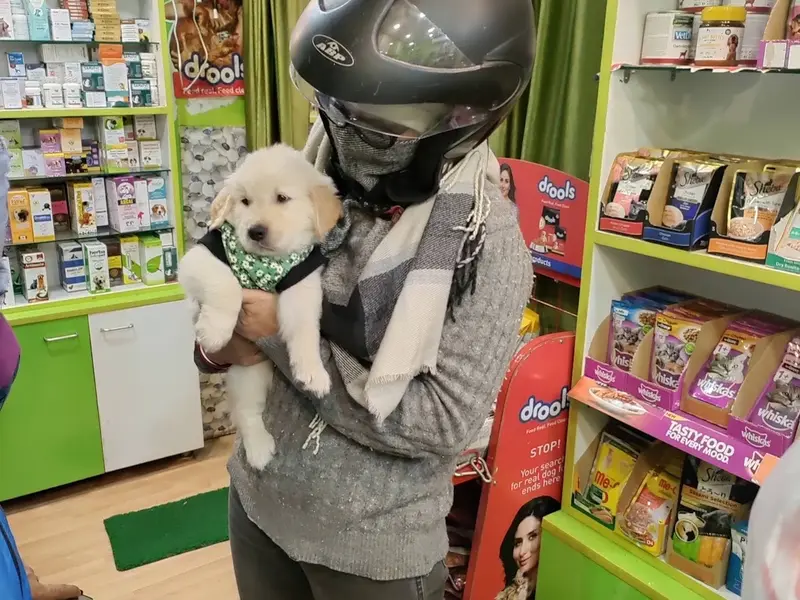 Animal Lovers Pet Shop, photo 2