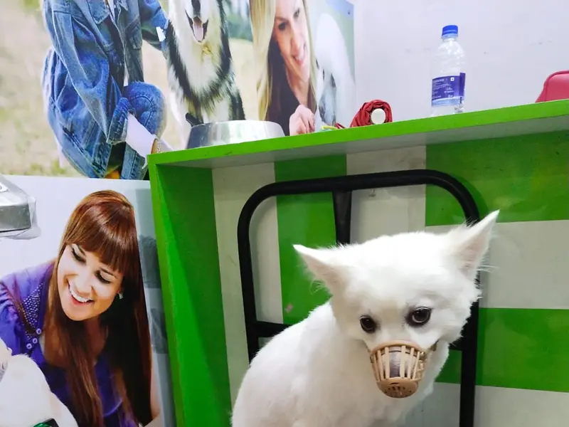 Animal Lovers Pet Shop, photo 3