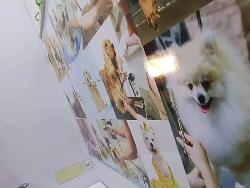 Animal Lovers Pet Shop, photo 4