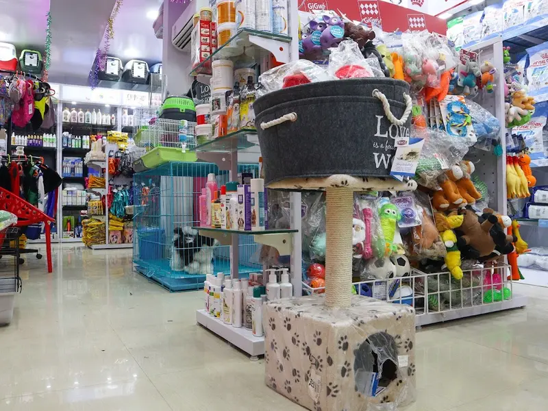 Pink Paws Behala | Pet Shops in Behala | Pet Parlours in Behala | Pet accessories in Behala, photo 3