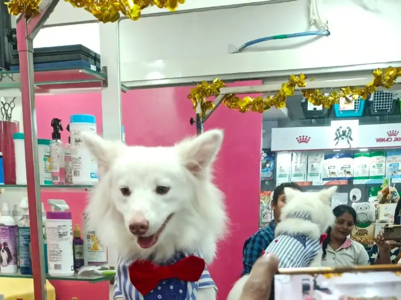 Pink Paws Behala | Pet Shops in Behala | Pet Parlours in Behala | Pet accessories in Behala, photo 4