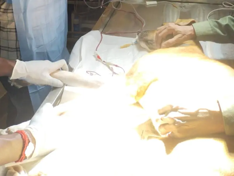Dr. Azahar Ali Khan, photo 4