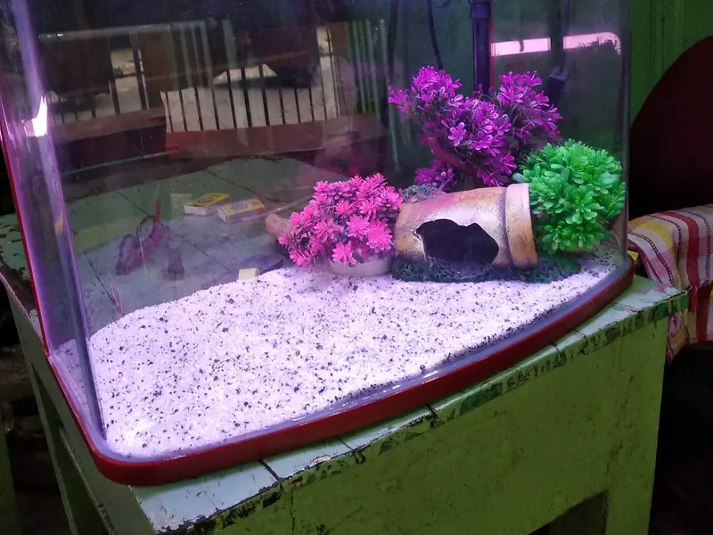 Fish Museum, photo 5