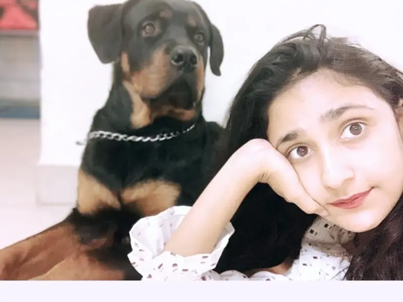 Kolkata Dog Lovers, photo 2
