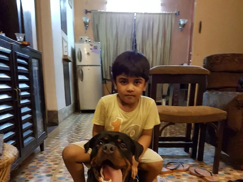 Kolkata Dog Lovers, photo 5