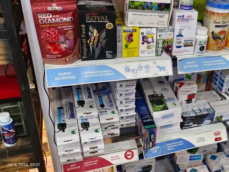Pet Neverland Shop, photo 3