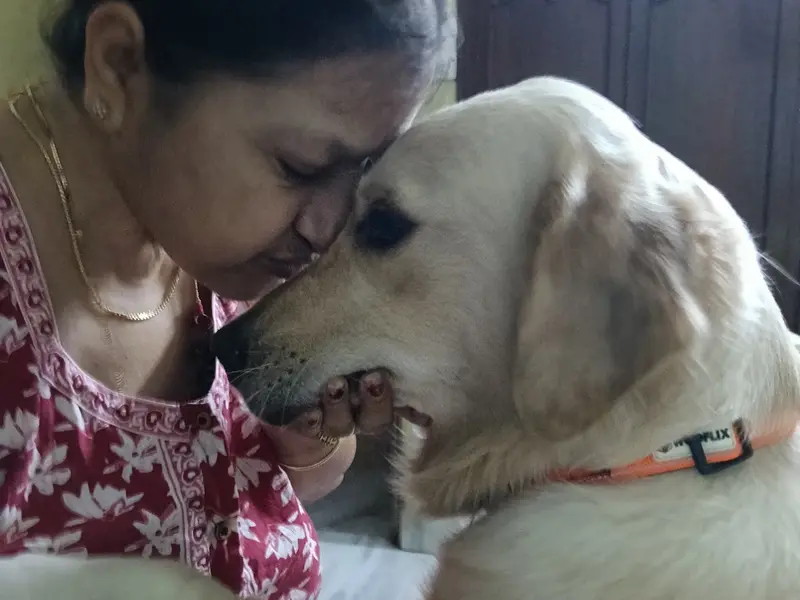 Rajasree's Dog Creche., photo 3