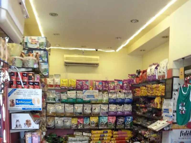 ANIMEL PLANET, photo 5
