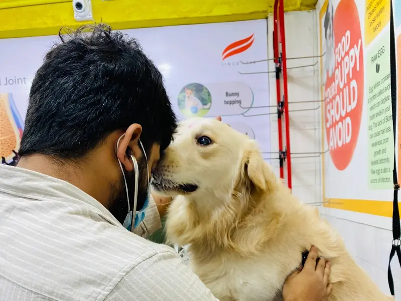 Dr Dhiman Sarkar (Veterinary Surgeon), photo 2
