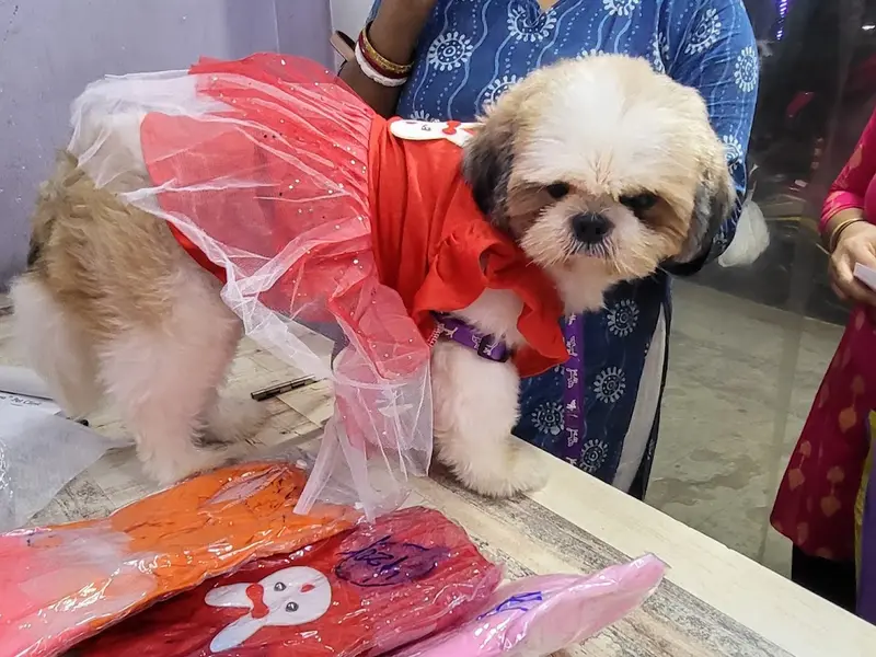 Miras Pharma -Pet Store, photo 5