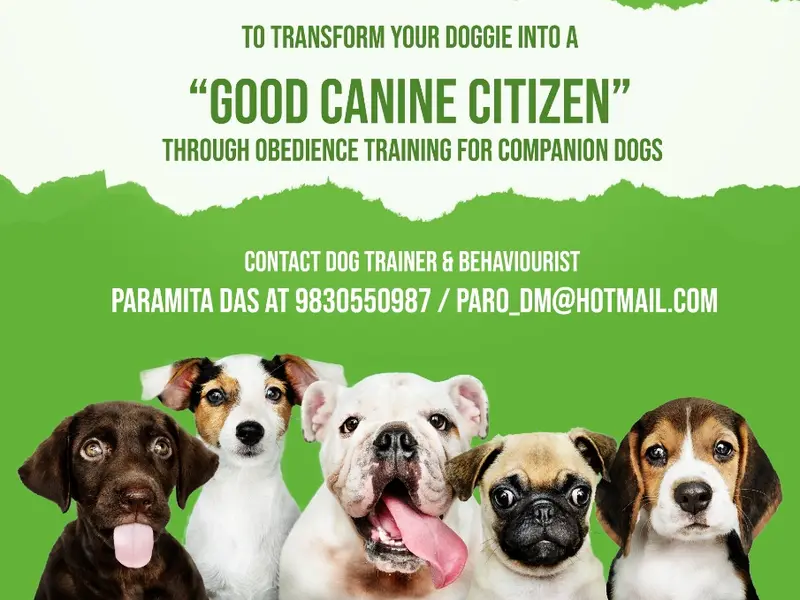 Paramita Das : Dog Trainer and Behaviorist, photo 3
