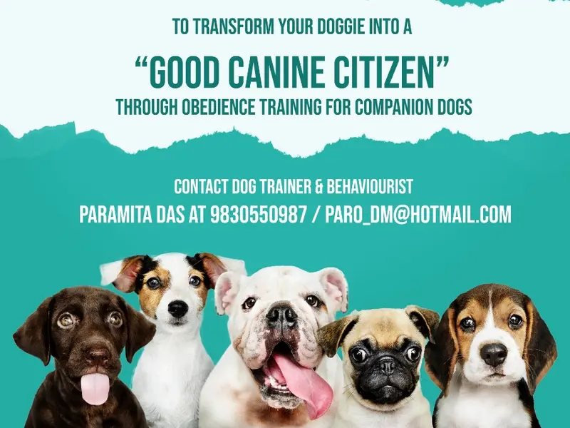 Paramita Das : Dog Trainer and Behaviorist, photo 4