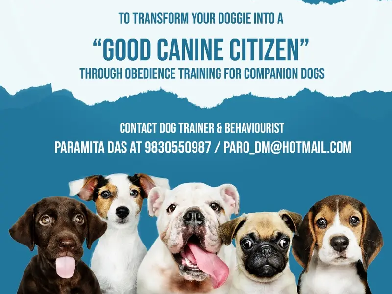 Paramita Das : Dog Trainer and Behaviorist, photo 5