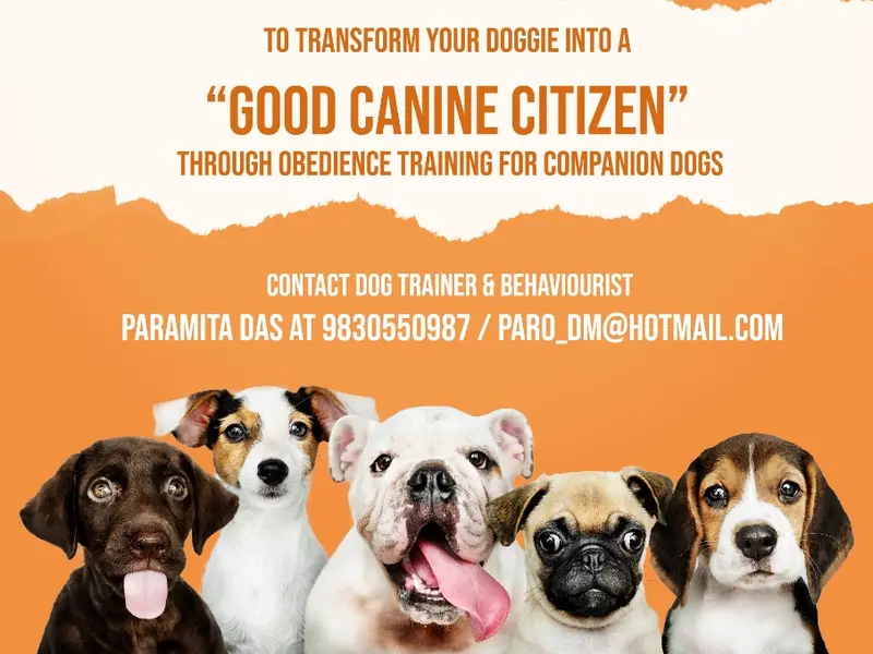 Paramita Das : Dog Trainer and Behaviorist