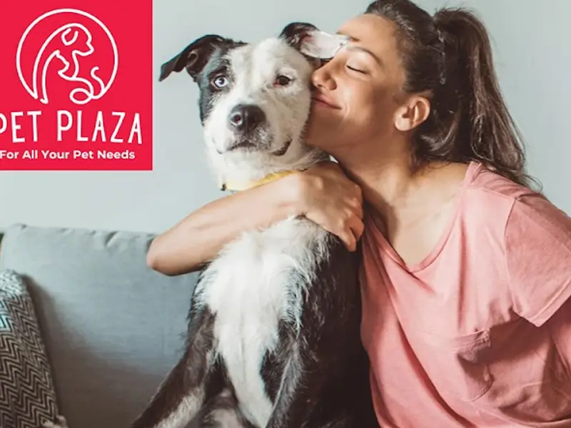 Pet Plaza