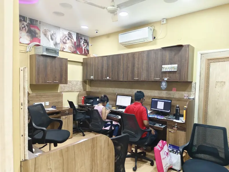 Pink Paws Corporate Office, photo 2