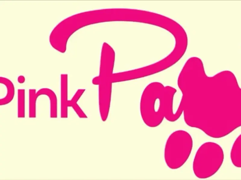 Pink Paws Corporate Office, photo 5