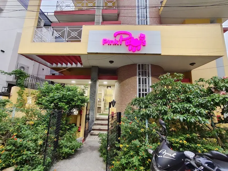 Pink Paws Corporate Office