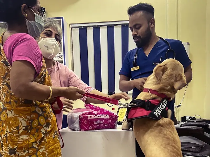 Vetassure Pet Clinic, photo 4
