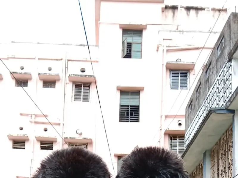 Flower Pets - Birati, Kolkata | Dog for Sale | All Breeds Puppies, photo 3