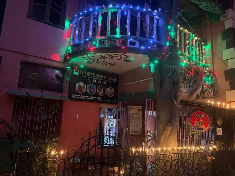 Antarik Veterinary Clinic (Talikhola) | Pet Medicine & Food near me, photo 5