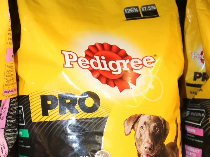 Adhya Pet Care, photo 4