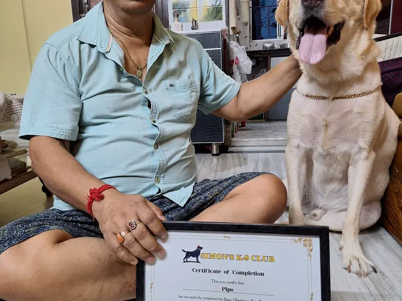 Simon's K-9 Club, photo 3