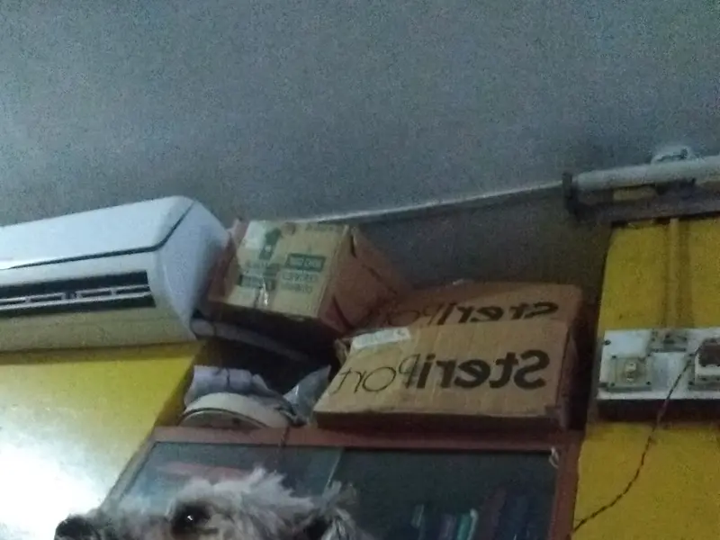 Dr. Swapan Ghosh, Veterinary, photo 2