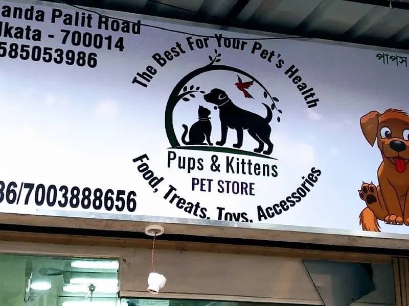 Pups & Kittens, photo 2