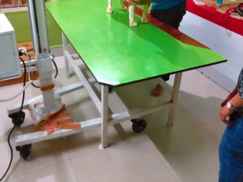 Garia Canine Image Center, photo 2