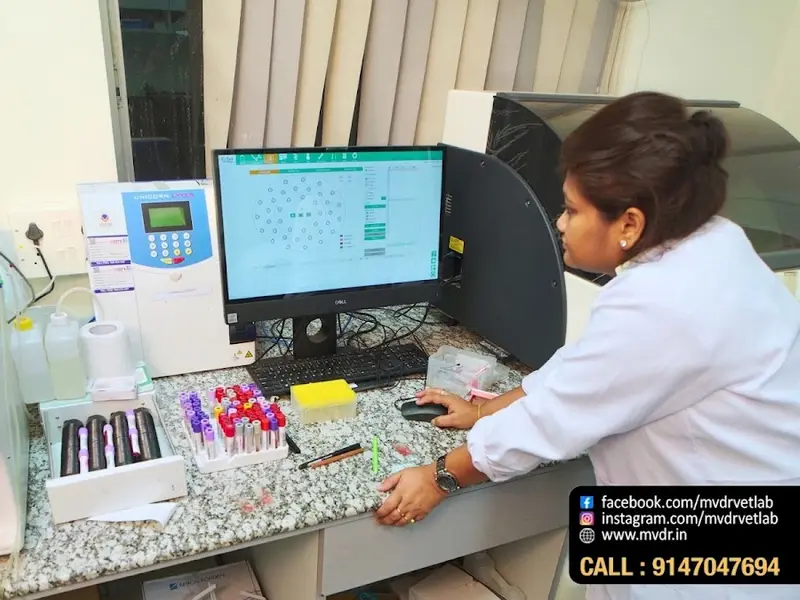 MVDR (Metropolitan Veterinary Diagnostics & Research), photo 4