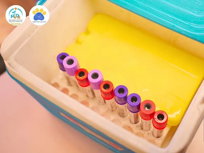 MVDR (Metropolitan Veterinary Diagnostics & Research), photo 5
