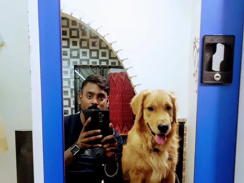 Rozy Pet Gallery, photo 4