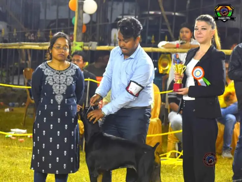 Sachin Banik- Dog Trainer & Behaviourist, photo 3