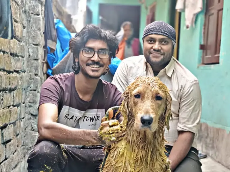 Sayantan Lodh Dog Training Academy, photo 2
