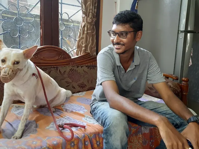 Sayantan Lodh Dog Training Academy, photo 3